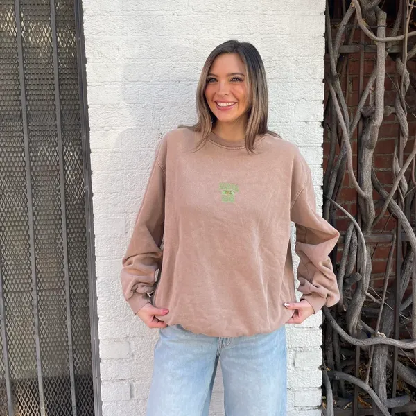 Urban Outfitters Brown Colorado Springs crewneck sweatshirt sz s women’s / has little holes on the left side but they are not very noticeable - Image 2