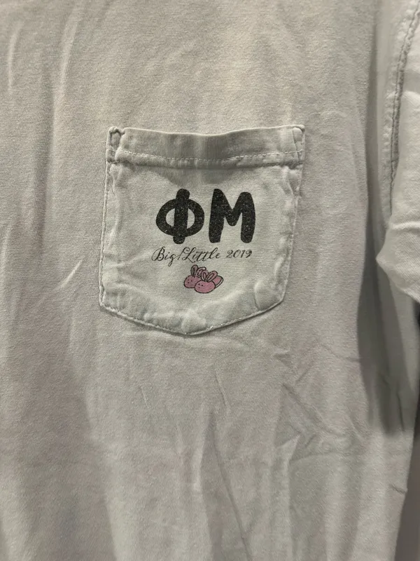 Comfort Colors UNG Phi Mu Big Little Reveal 2019 Tee - Image 3