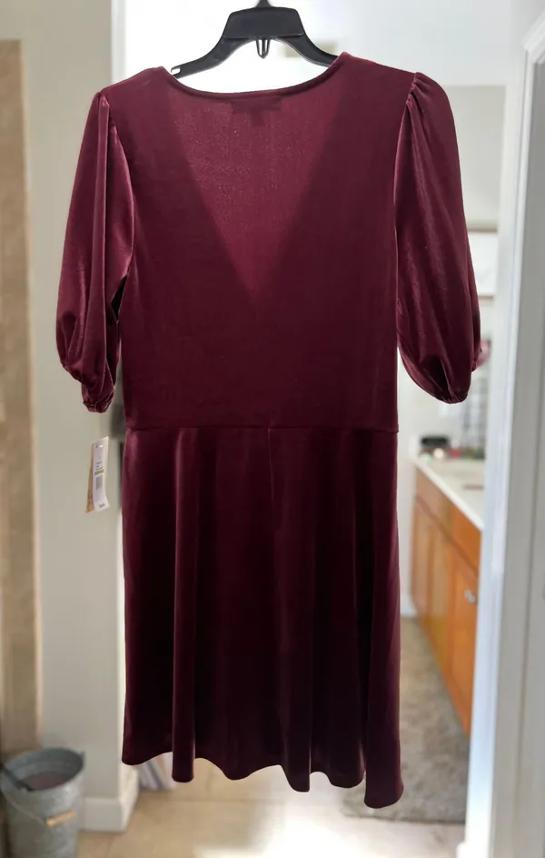 Bebop Wine Colored Velvet Dress - Image 5