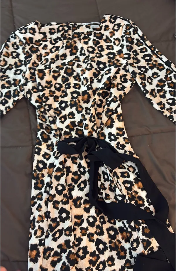 H&M Cheetah Dress - Image 3