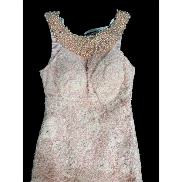 NWT Sherri‎ Hill 51057 Blush Lace High Low Dress Open Back Pearl Neckline Size 2 - Image 5