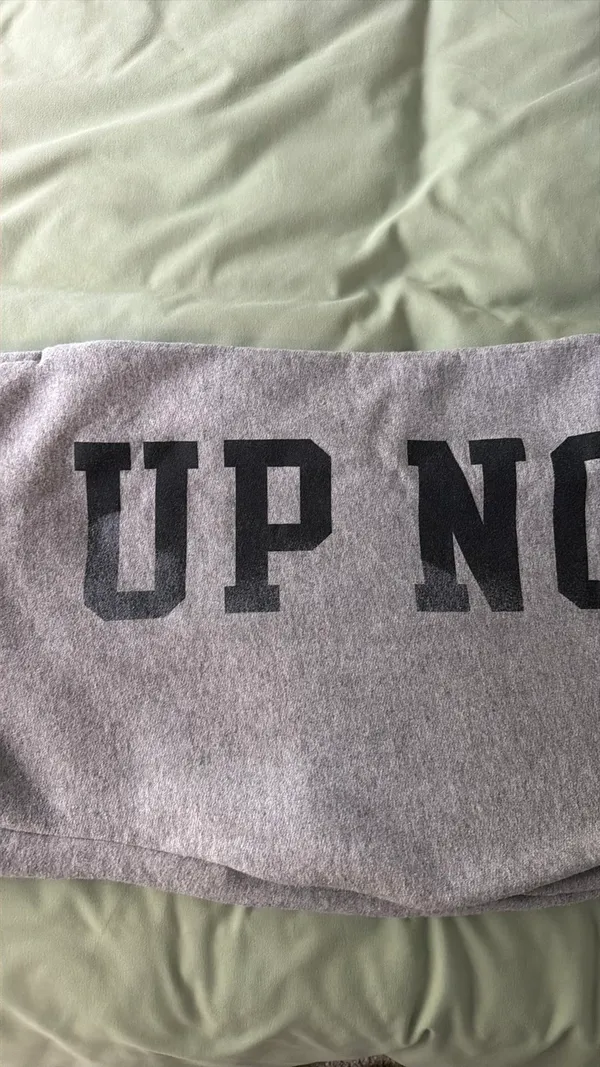 Champion Sweatpants Grey - Image 3