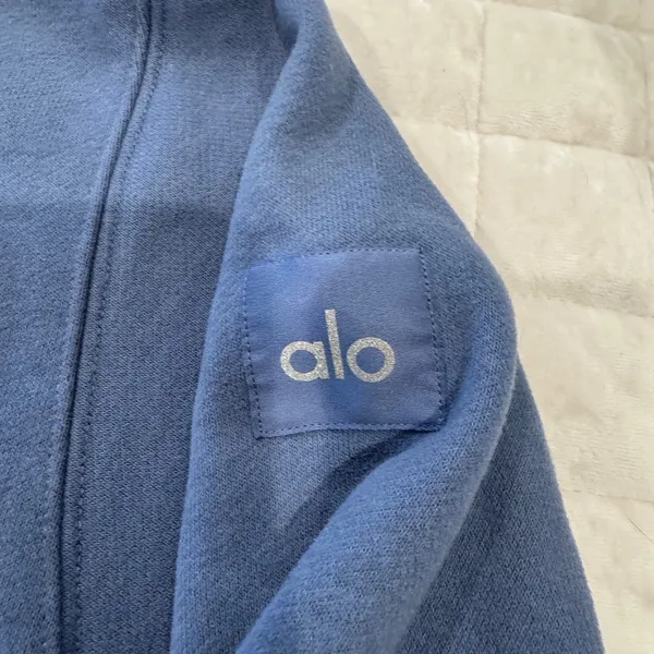 ALO Renown Heavy Weight Hoodie - Image 2