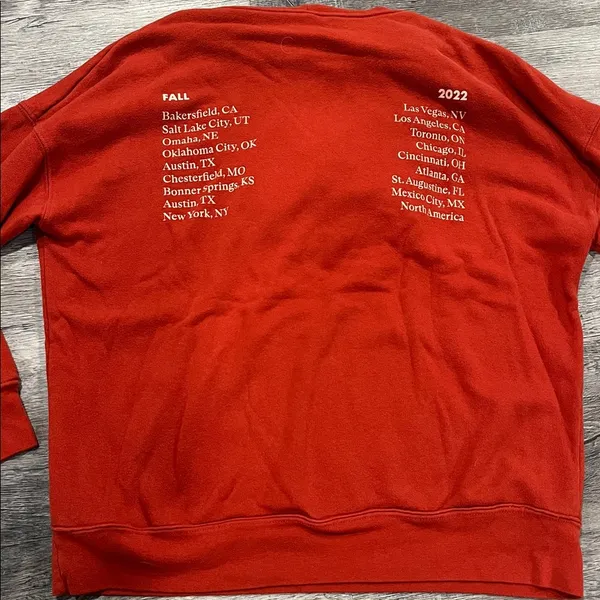Paramore 2022 tour orange Red 'This Is Why' Paramore Sweatshirt hoodie - Image 5