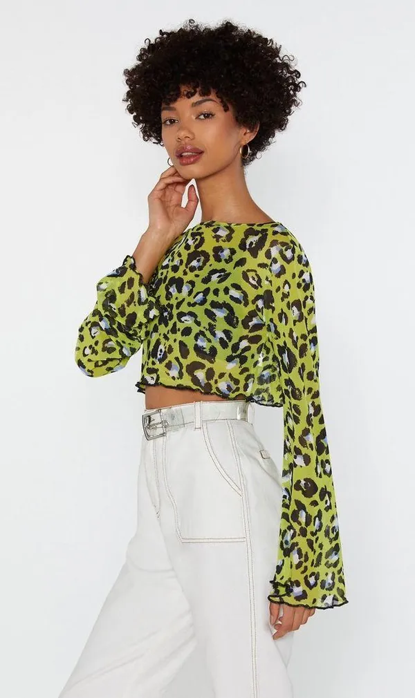 Nasty Gal Leopard Mesh Top - Image 3