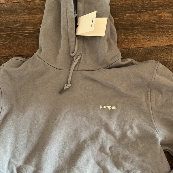 Pompell Hoodie Gray Size M - Image 2