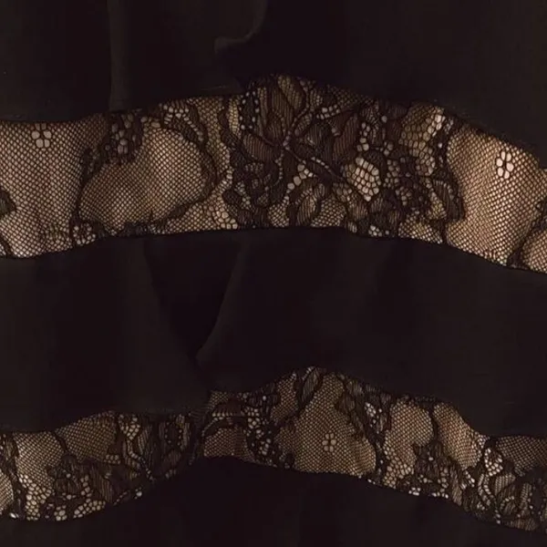 ML Monique Lhuillier Black Lace Panel Tiered sleeveless Formal Gown Dress 10 - Image 12