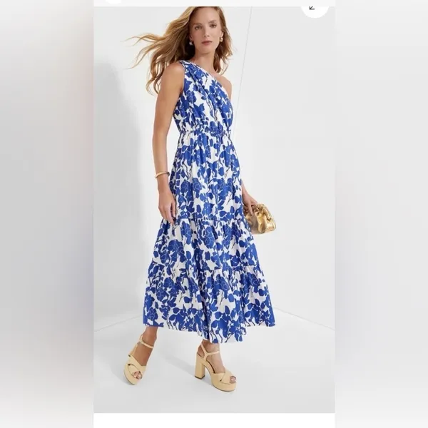 Hyacinth House Sybil Maxi Dress XXS Blue Floral One Shoulder Cotton Lined NWT - Image 2