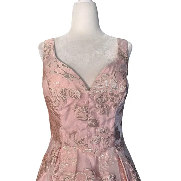 Windsor Heather Floral Burnout Organza Party‎ Dress Pink Rose Gold HOCO Coquette - Image 4