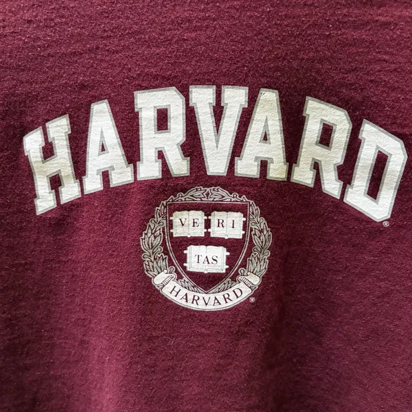 Champion y2K VTG Harvard Crimson 100% Cotton Long Sleeve Tee sz Youth M (Women's Small) - Image 3