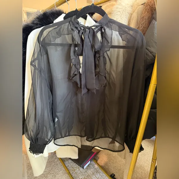 Zara NWT black ruffle long sleeve sheer mesh blouse - Image 4