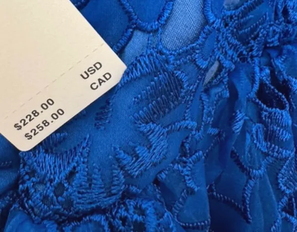 Anthropologie Ruffle-Strap Corset Lace Mini Dress, Size S - Image 14