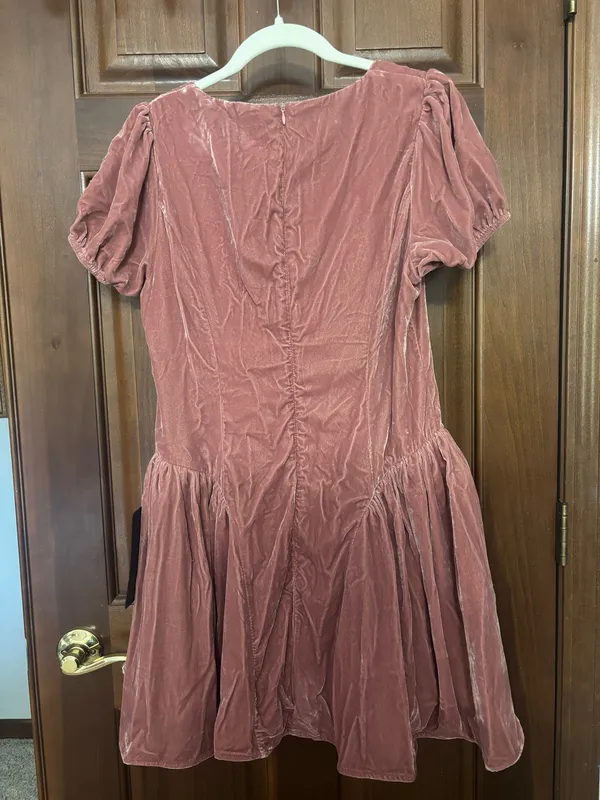 Dusty Rose Velvet Puff-Sleeve Mini Dress - Image 2