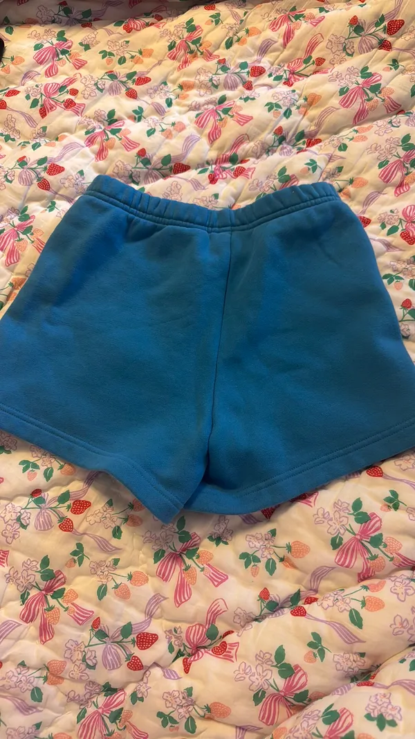 Aritzia Shorts TNA - Image 2