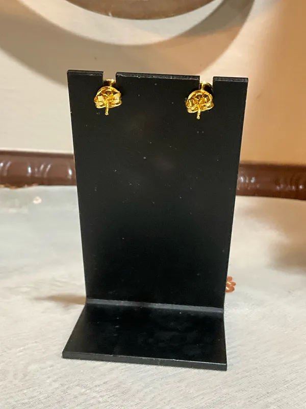 Elegant and Chic Stainless Steel Earrings - Image 5