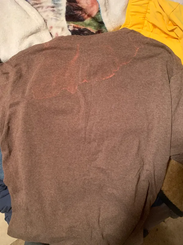 Rodeo Tee Brown Size M - Image 3
