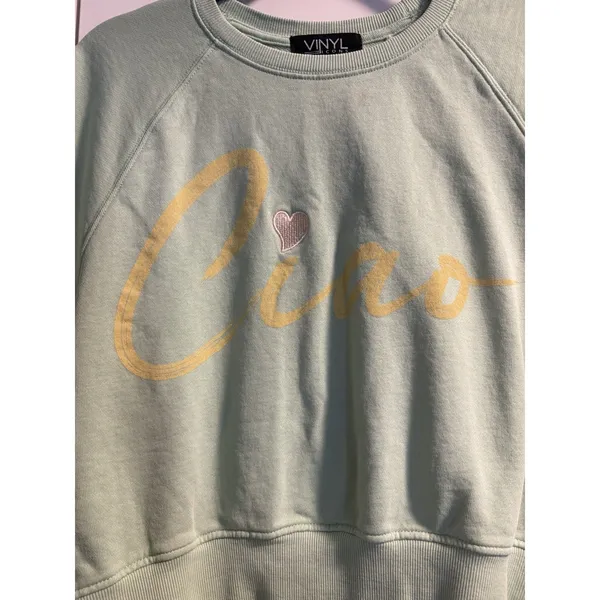 Vinyl Icons Short Sleeve Sweatshirt Women XL Mint Green Ciao Graphic Cropped Top - Image 2