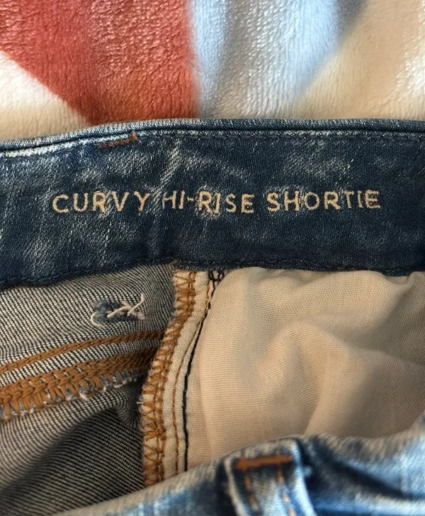 American Eagle Outfitters Denim Jean Short - Image 4