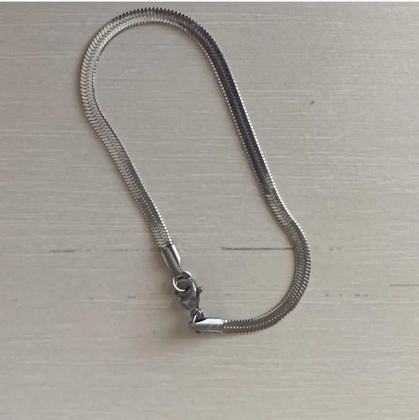 Madewell NWOT  Thin Flat silver Snake Chain Bracelet - Image 3