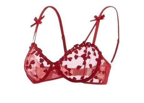 Embroidered Mesh Underwire Lingerie Set (M) - Image 3