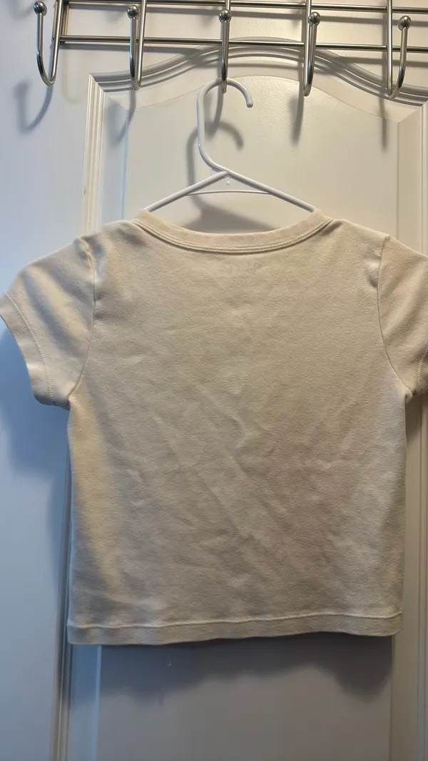 John Galt Top Brandy Melville Crop - Image 3