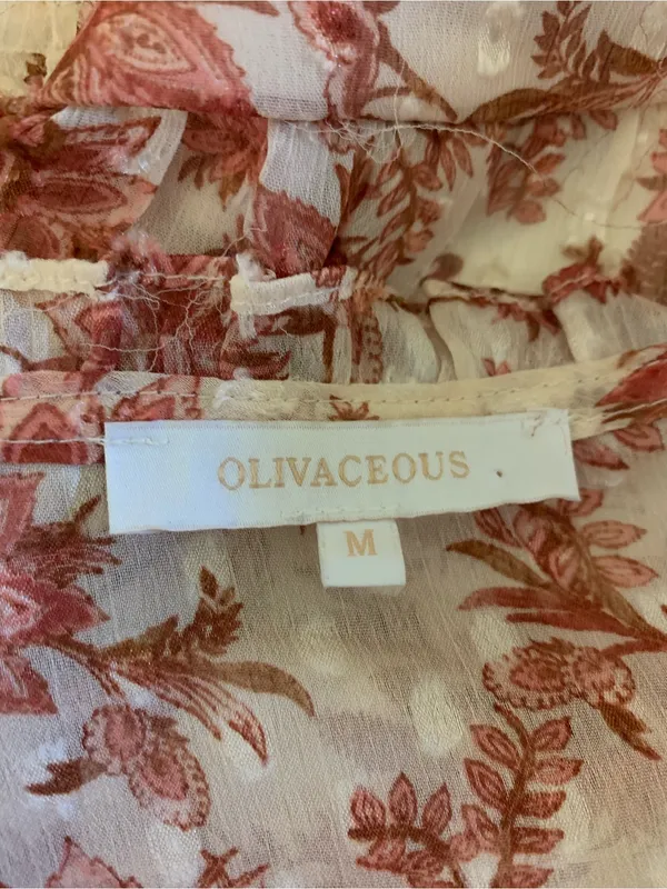 Olivaceous Cream Rust Floral Sheer Corset Crop Top M Long Sleeve Romantic Boho - Image 3