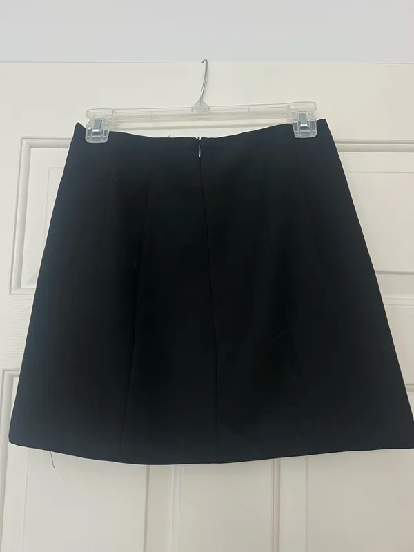 ZARA Skirt  - Image 4