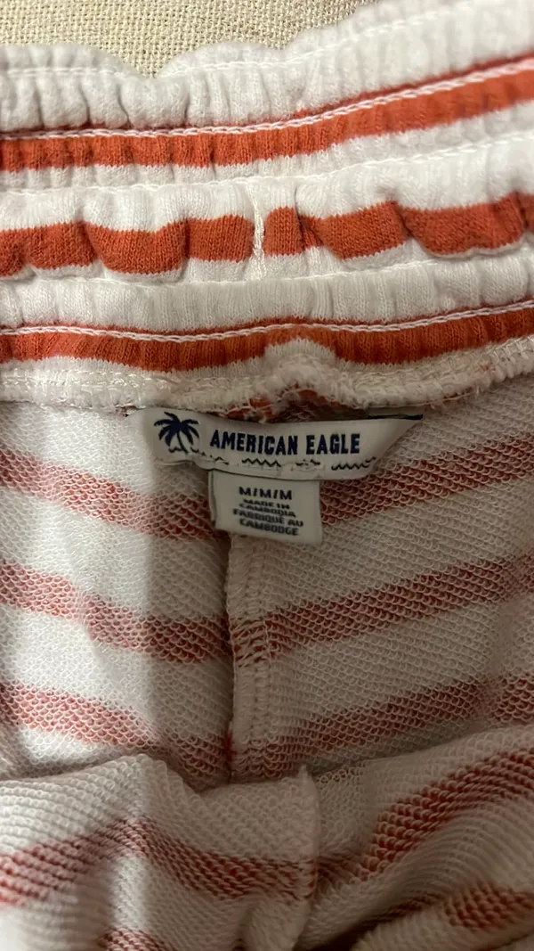 American Eagle Shorts - Image 4