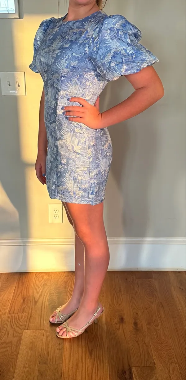 blue white and silver lena hoco dress with puff sleeves - Image 5