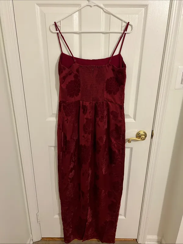 Reformation Frankie Scarlet Slip Maxi Dress Floral Velvet Burnout New Size 10 - Image 8