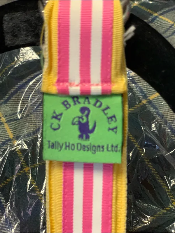 CK Bradley Pink and Yellow Striped O-Ring Ribbon Belt Size-Small - Image 2