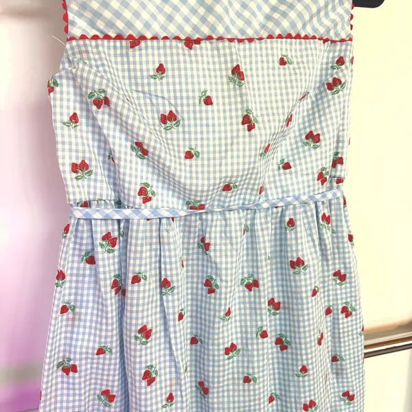 50s Baby Blue Gingham Dress Coquette Strawberry Cottagecore Picnic Retro Femme - Image 4