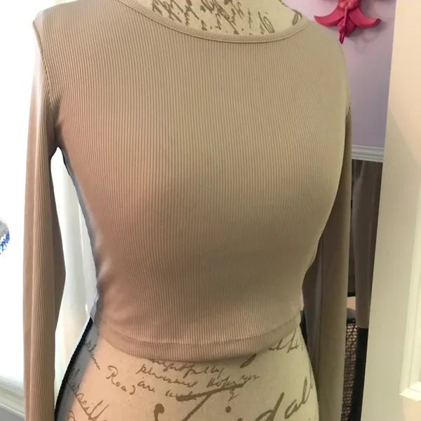 Forever21 Nude Long Sleeve Crop Top - Image 5