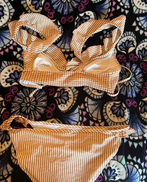 Aerie Gingham Bikini Set - Image 2