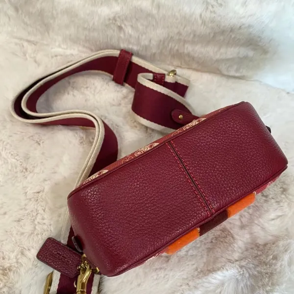 coach Lunar New Year Camera Bag 16 With Horse And Carriage Print 88505 - Image 4