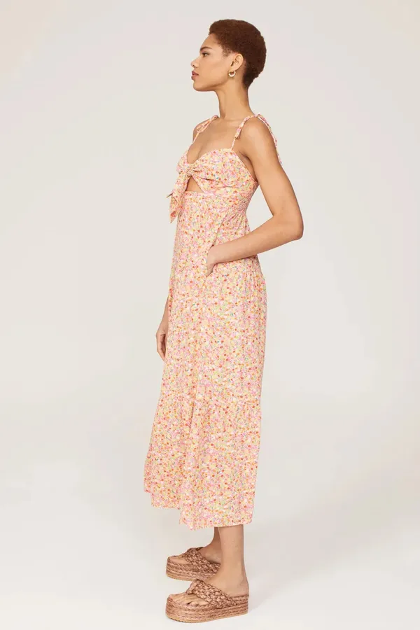 Show Me Your Mumu Dress - Image 2