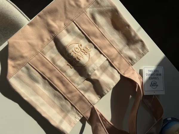 Trader Joe’s exclusive tan teal spring 2026 tote bag - Image 3