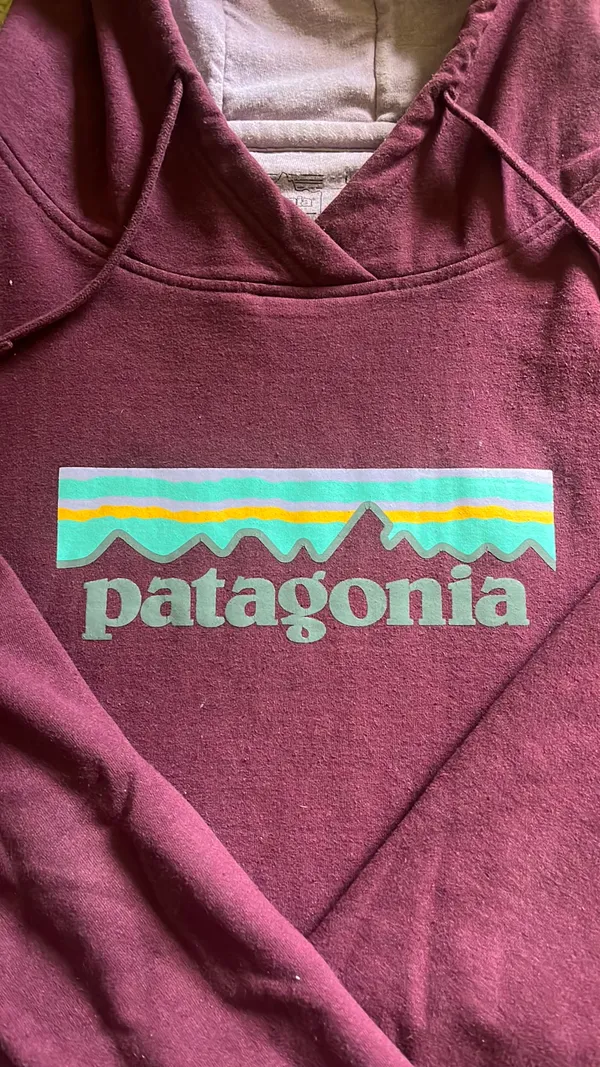 Uprisal Patagonia Hoodie - Image 2