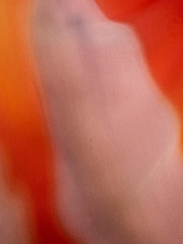 ZARA Top - Image 3