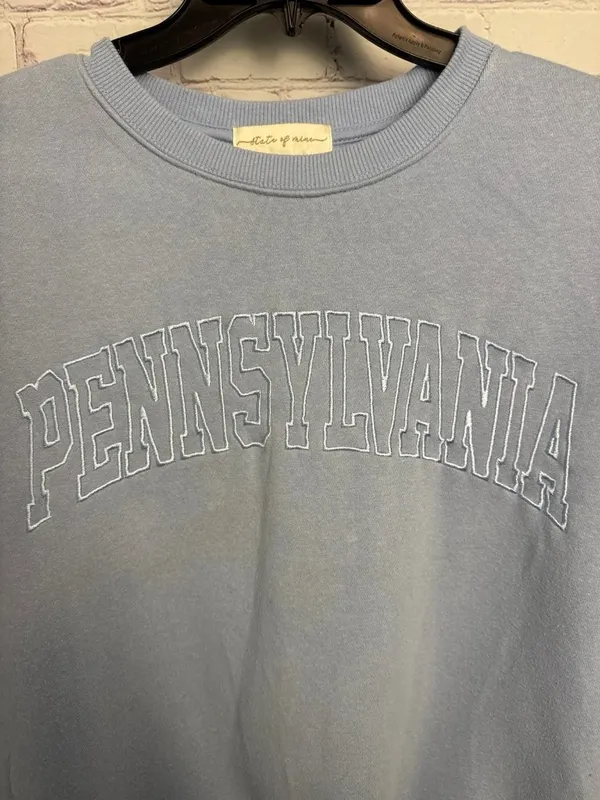 State of mine Pennsylvania hoodie embroidery collegiate preppy medium - Image 5