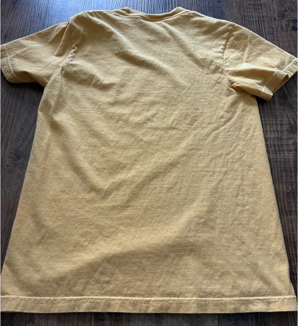 Comfort Colors T-Shirt Charleston Riverdogs - Image 4