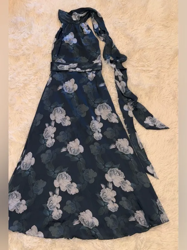 New Sachin & Babi Kayla Floral Crinkle Georgette Sleeveless Gown Sz 0 - Image 3