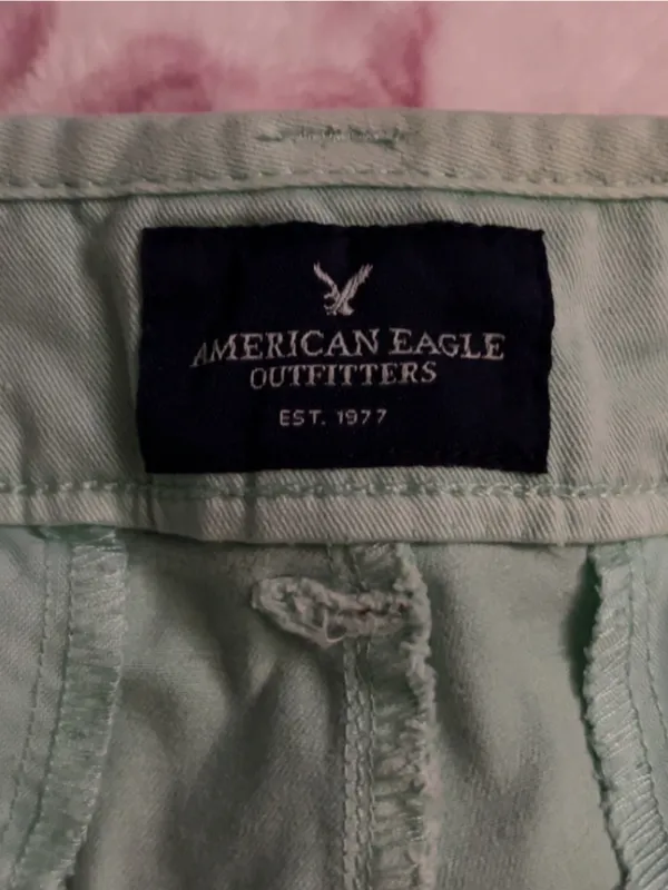 American Eagle Outfitters Light Mint Green Casual Cotton Shorts - Image 3