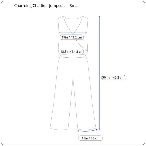 Charming Charlie Womens Jumpsuit Size Small Zebra Safari Mobwife‎ Wide Leg Retro - Image 12