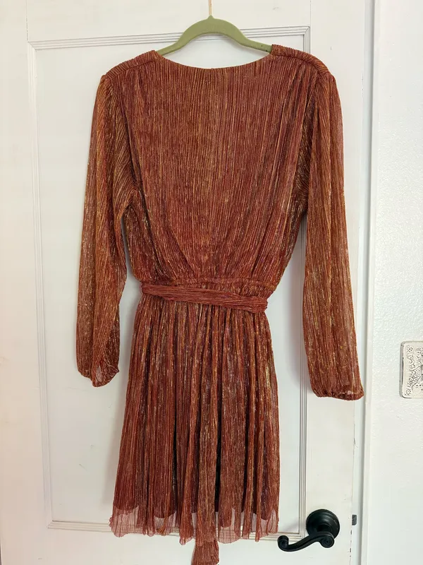 Shimmer Dress - Dress Forum - Image 4