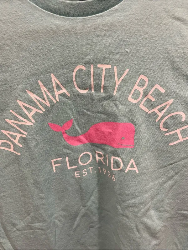 Delta Cute Y2K Panama City pastel whale spring break Florida vacation graphic t-shirt - Image 6