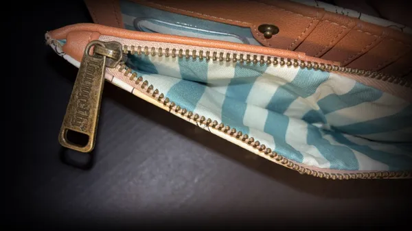 Loungefly Disney Wallet dumbo - Image 5