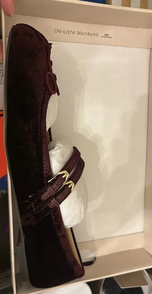 Burgundy Velvet dolce vita Gibsen flats 8.5 - Image 9
