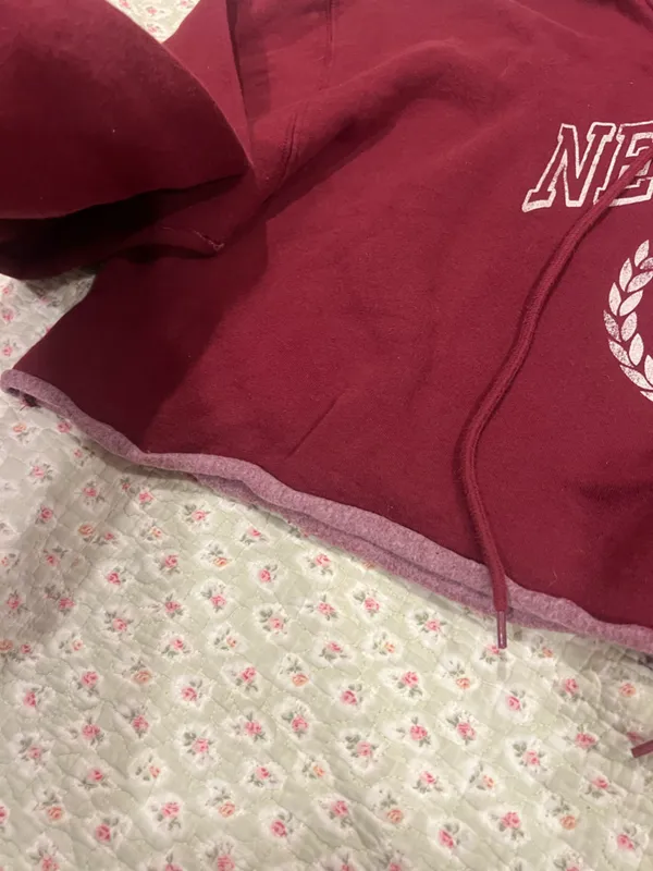 wild fable Maroon New York Crest Hoodie - Image 4