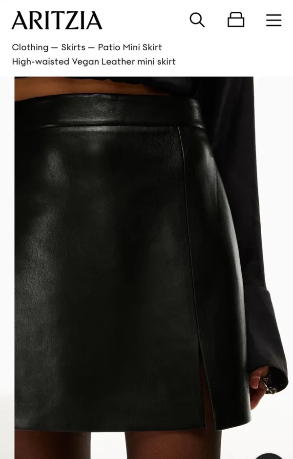 Aritzia Wildred Skirt - Image 3